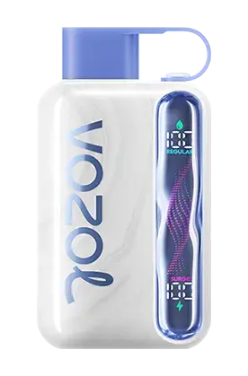 vozol star 40000 bluberry mint