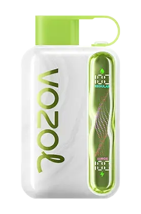 vozol star 40000 watermelon sour peach